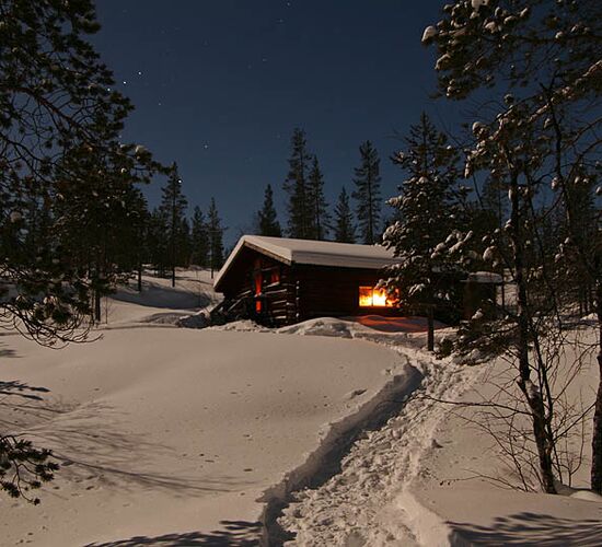 Husky Abenteuer unter schwedischen Nordlichtern © jokkmokkguiderna